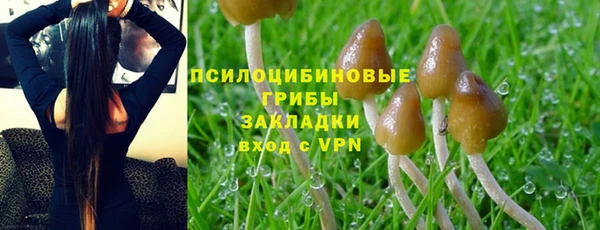 скорость Верхний Тагил