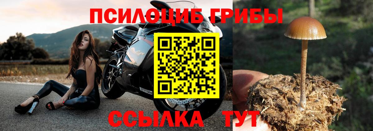 Галлюциногенные грибы мухоморы  Галлюциногенные грибы Psilocybine cubensis  Вход с VPN  Волоколамск 