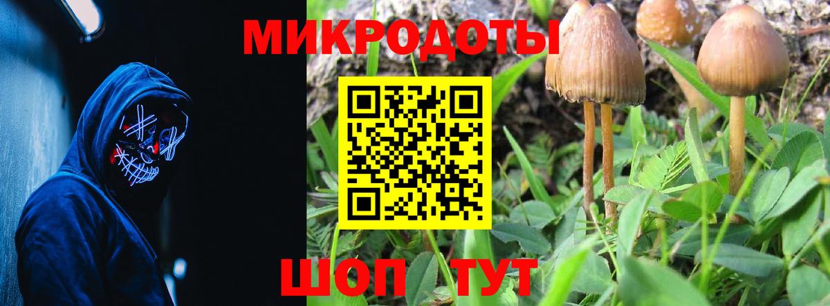 Галлюциногенные грибы прущие грибы Волоколамск