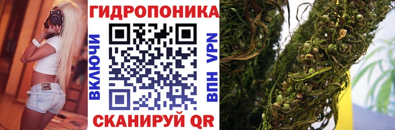 Конопля THC 21%  наркошоп  гидра как войти  Волоколамск 